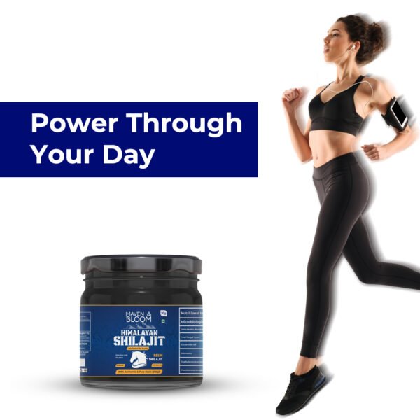 Natural Shilajit Resin – Ayurvedic Wellness Supplement