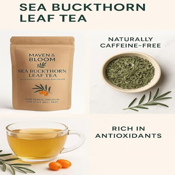 Sea Buckthorn Leaf Tea