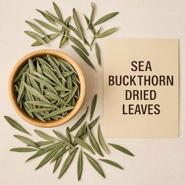 Sea Buckthorn Leaf Tea